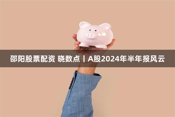 邵阳股票配资 晓数点丨A股2024年半年报风云