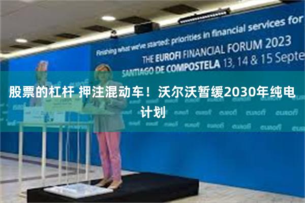 股票的杠杆 押注混动车！沃尔沃暂缓2030年纯电计划