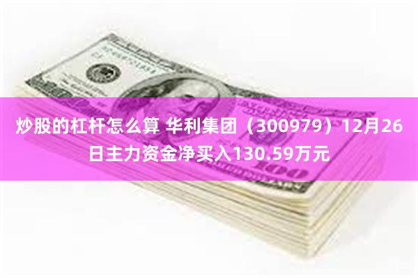 炒股的杠杆怎么算 华利集团（300979）12月26日主力资金净买入130.59万元