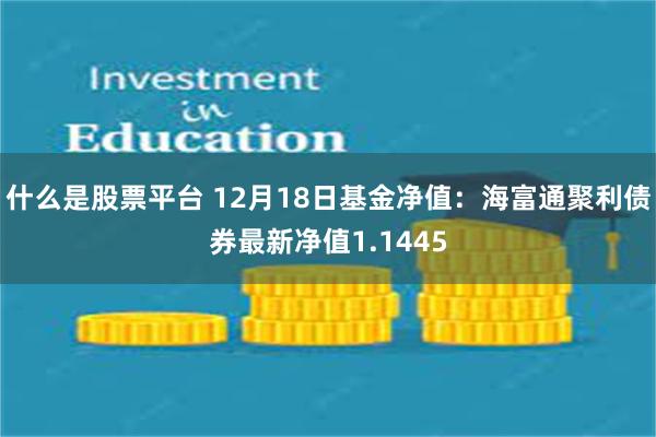 什么是股票平台 12月18日基金净值：海富通聚利债券最新净值1.1445