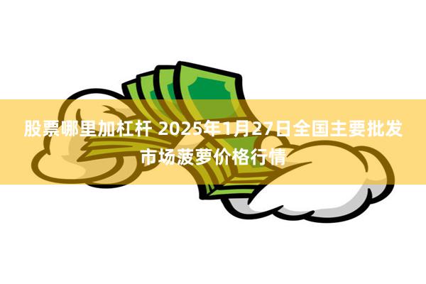 股票哪里加杠杆 2025年1月27日全国主要批发市场菠萝价格行情