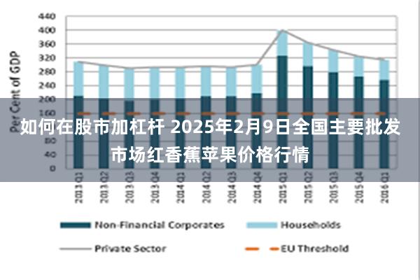 如何在股市加杠杆 2025年2月9日全国主要批发市场红香蕉苹果价格行情