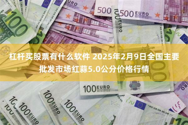 杠杆买股票有什么软件 2025年2月9日全国主要批发市场红蒜5.0公分价格行情