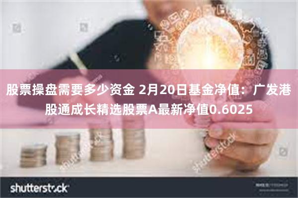 股票操盘需要多少资金 2月20日基金净值：广发港股通成长精选股票A最新净值0.6025